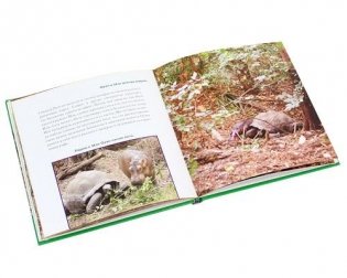 Оуэн и Мзи. Подлинная история удивительной дружбы фото книги 9