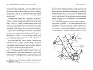 Пламенный насос: Естественная история сердца фото книги 7