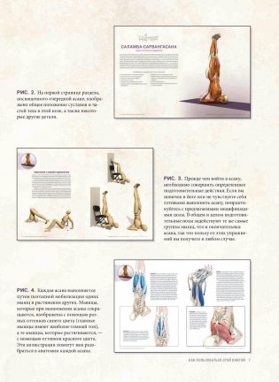 Анатомия балансов на руках и перевернутых поз фото книги 5