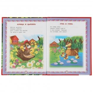 100 стихов о зверятах фото книги 3