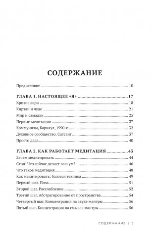 Диалоги о медитации. Русский йогин о практике, психологии и будущем человечества фото книги 2