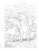 Creative Haven the Dog Lovers' Coloring Book фото книги маленькое 6