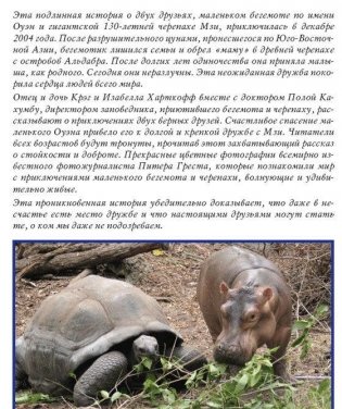 Оуэн и Мзи. Подлинная история удивительной дружбы фото книги 2