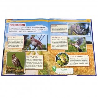 Птицы фото книги 2