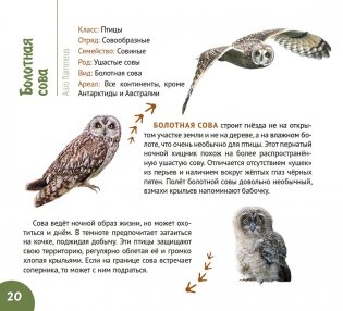 Белорусские болота. Серия "Планета животных" фото книги 5