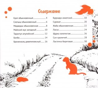 Подземные обитатели фото книги 4