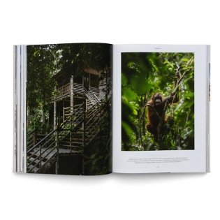 Life on the Road фото книги 9