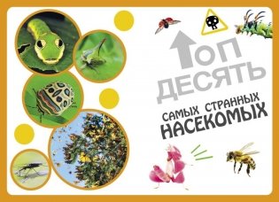 Самые необычные животные и места мира фото книги 3