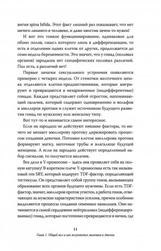 Чисто женская тема! Что должна знать каждая дама о своем здоровье фото книги 6