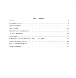 Под небом Египта: во славу советского солдата фото книги 12