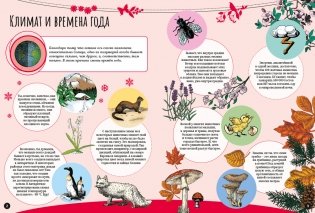 Чудеса природы фото книги 2