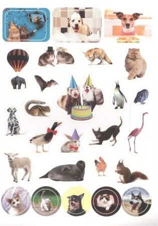 100 наклеек. Забавные животные фото книги 3