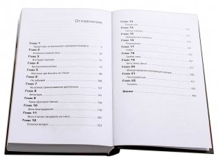 Вундеркидз. Вилдвудская академия. Книга 1 фото книги 5