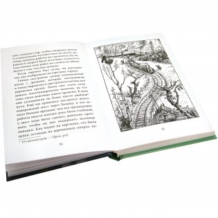 Гномы Боландского леса фото книги 3