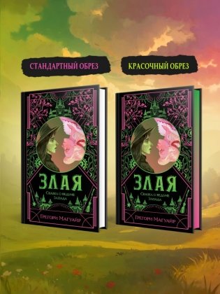 Злая: Сказка о ведьме Запада фото книги 2