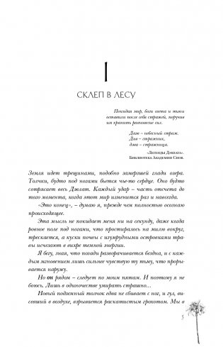 Сон и Пепел. Оформление Люция фото книги 6