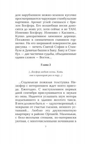 Сладкая соль Босфора фото книги 8