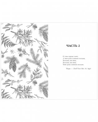 Сердце зимы фото книги 6