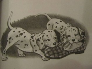 101 далматинец фото книги 3