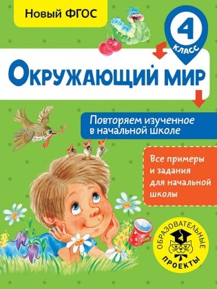 Окружающий мир. Повторяем изученное в начальной школе. 4 класс фото книги