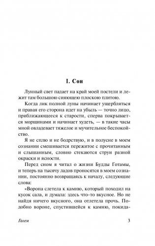 Голем фото книги 4