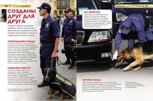 Собаки и щенки фото книги 3