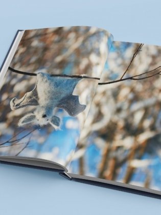 Мягкие игрушки на спицах. 12 пушистых зверей, которых легко вязать и не надо сшивать фото книги 6