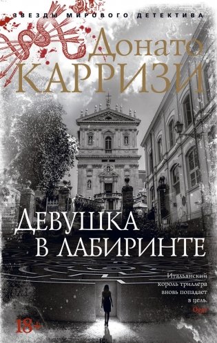 Девушка в лабиринте фото книги