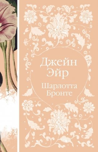 Джейн Эйр фото книги