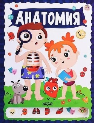 Анатомия фото книги