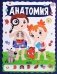 Анатомия фото книги маленькое 2