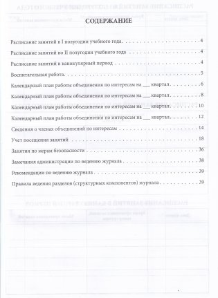 Журнал планирования и учета работы объединения по интересам. С учетом новых рекомендаций фото книги 4
