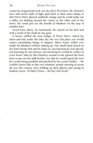 Harry Potter and the Philosopher's Stone фото книги 13