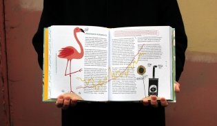 Пальмы на Северном полюсе. Большой рассказ об изменении климата фото книги 5