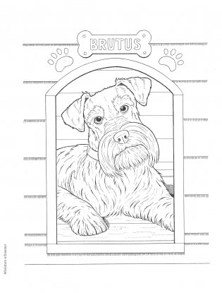 Creative Haven the Dog Lovers' Coloring Book фото книги 11