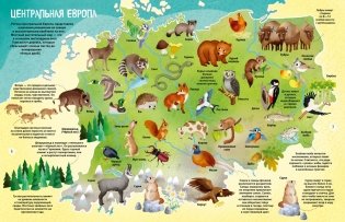 Мир животных в картинках фото книги 4