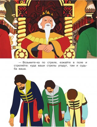 Царевна-лягушка фото книги 5