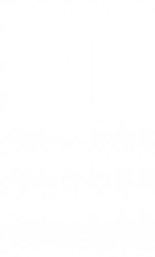 Дни крови и света фото книги 3