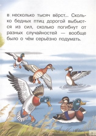 Серая шейка фото книги 4