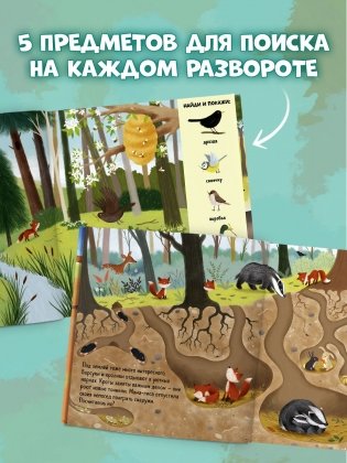 Найди и покажи. Животные в лесу фото книги 4