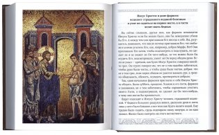 Библия для детей. Священная история в простых рассказах для чтения в школе и дома фото книги 3