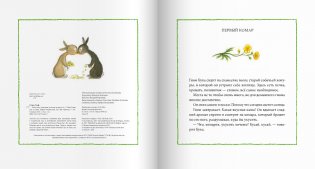 Лето в лесу фото книги 3