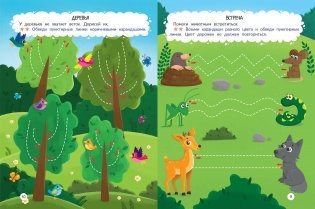 Лес. Книжка-раскраска фото книги 2