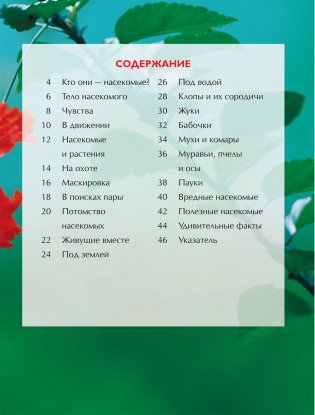 Насекомые. Детская энциклопедия фото книги 4