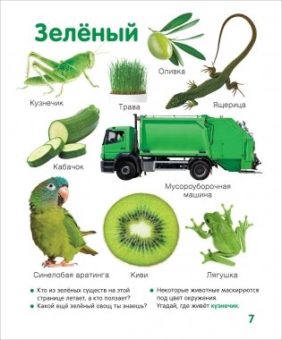 Цвета и формы. Твоя первая фотокнига фото книги 6