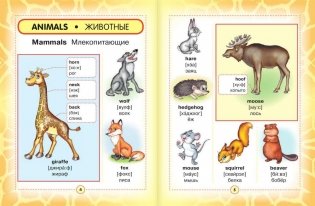 Англо-русский визуальный словарь для детей фото книги 4