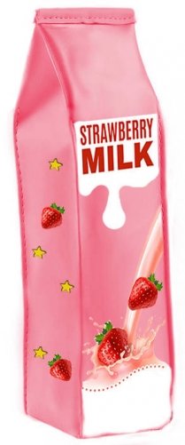 Пенал с молнией фото книги 2