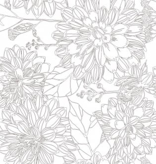 Арт-терапия. Природные лабиринты. 70 рисунков для раскрашивания и снятия стресса фото книги 3