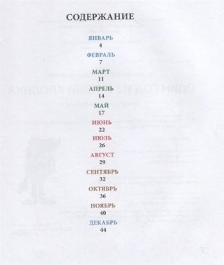 Один год из жизни кролика фото книги 6