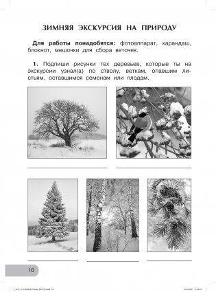 Окружающий мир. Изучаем природу родного края. 2 класс. Тетрадь для внеурочной деятельности. ФГОС фото книги 2